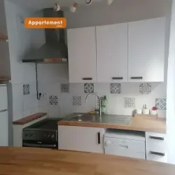 Appartement 2 pièces 38 m2 Lyon 7 à louer